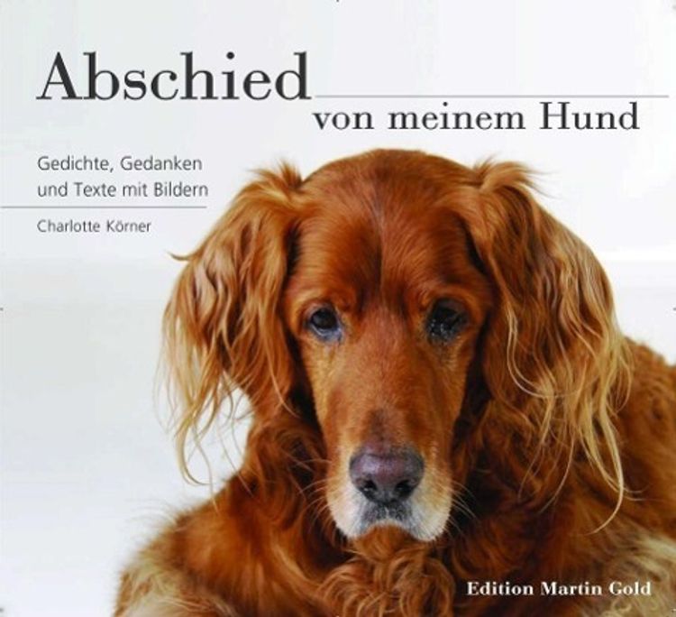 Abschied von meinem Hund Buch versandkostenfrei bei Weltbild.de bestellen