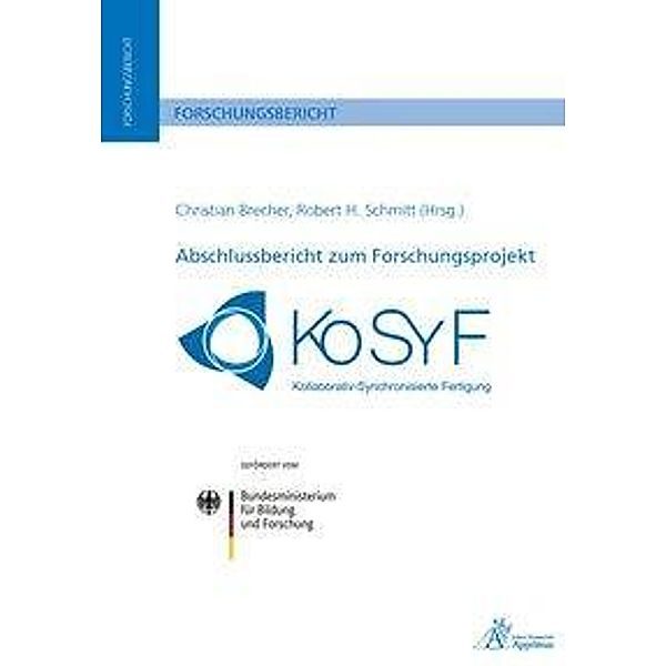 Abschlussbericht zum Forschungsprojekt KoSyF - Kollaborativ