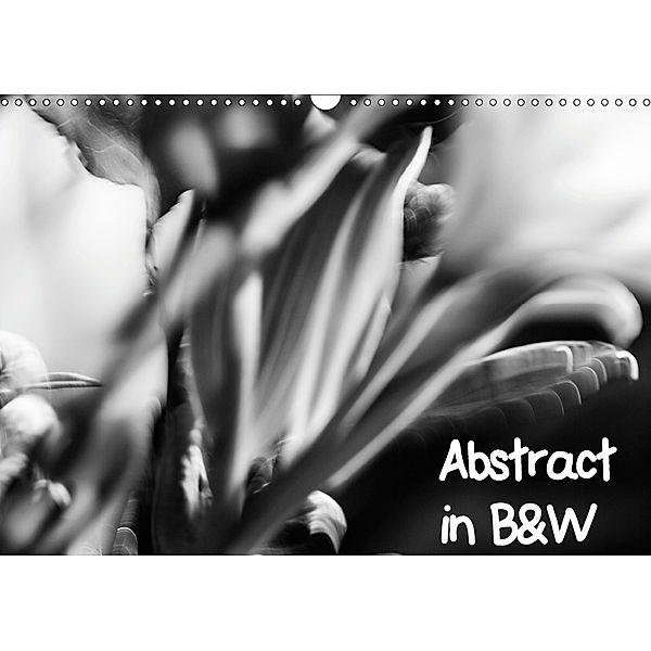 Abstract in B&W (Wall Calendar 2019 DIN A3 Landscape), Jill Robb