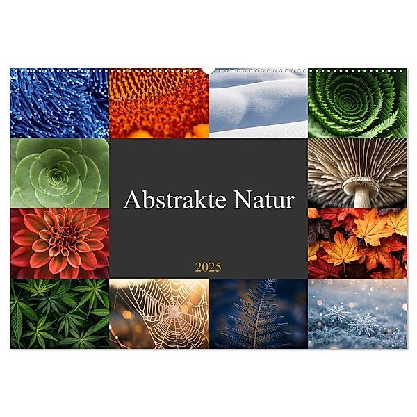 Abstrakte Natur (Wandkalender 2025 DIN A2 quer), CALVENDO Monatskalender, Calvendo, Susan Michel