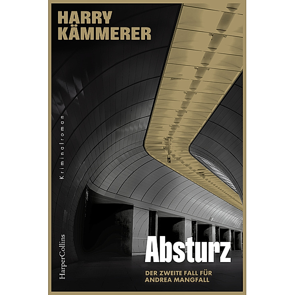 Absturz / Mangfall ermittelt Bd.2, Harry Kämmerer