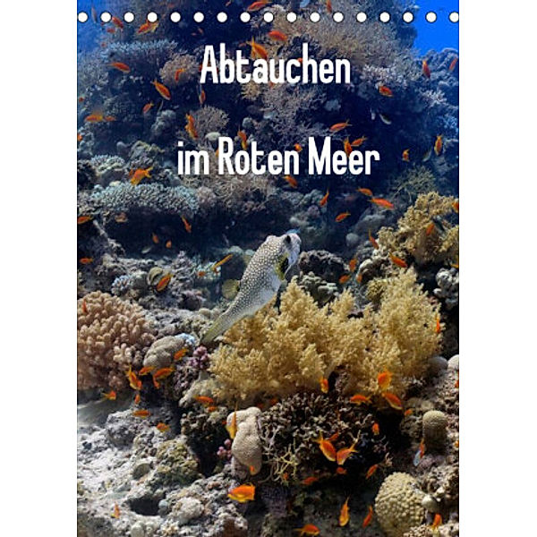 Abtauchen im Roten Meer (Tischkalender 2022 DIN A5 hoch), Lars Eberschulz