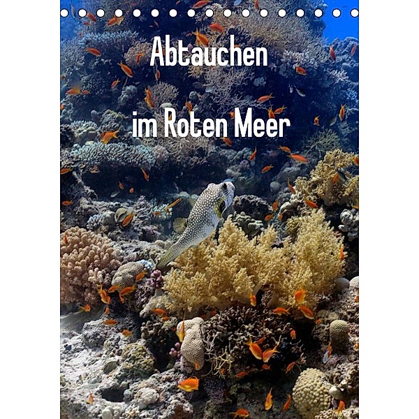 Abtauchen im Roten Meer (Tischkalender 2023 DIN A5 hoch), Lars Eberschulz