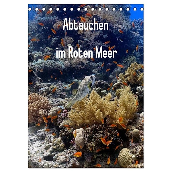 Abtauchen im Roten Meer (Tischkalender 2024 DIN A5 hoch), CALVENDO Monatskalender, Lars Eberschulz