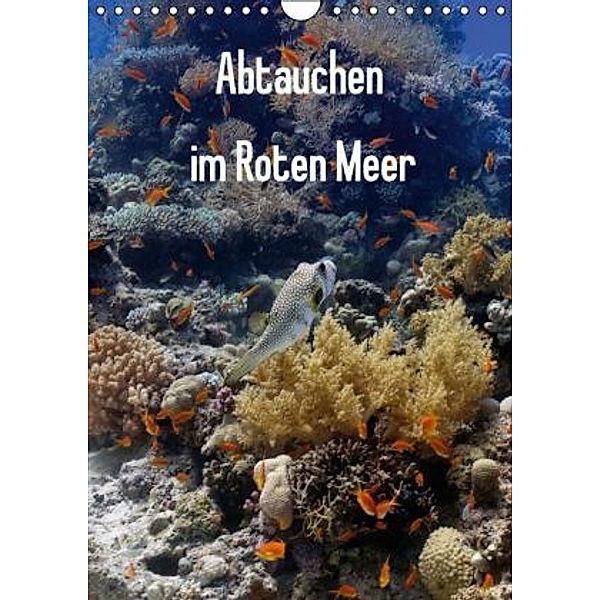 Abtauchen im Roten Meer (Wandkalender 2016 DIN A4 hoch), Lars Eberschulz