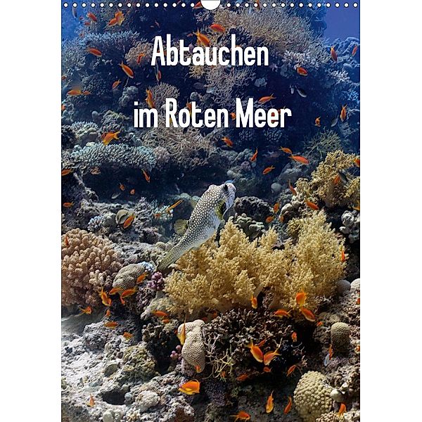 Abtauchen im Roten Meer (Wandkalender 2021 DIN A3 hoch), Lars Eberschulz