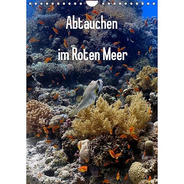 Abtauchen im Roten Meer (Wandkalender 2023 DIN A4 hoch), Lars Eberschulz