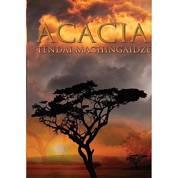 Acacia / African Perspectives Publishing, Tendai Machingaidze