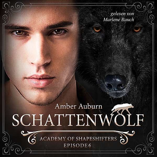 Academy of Shapeshifters - 6 - Schattenwolf, Episode 6 - Fantasy-Serie, Amber Auburn