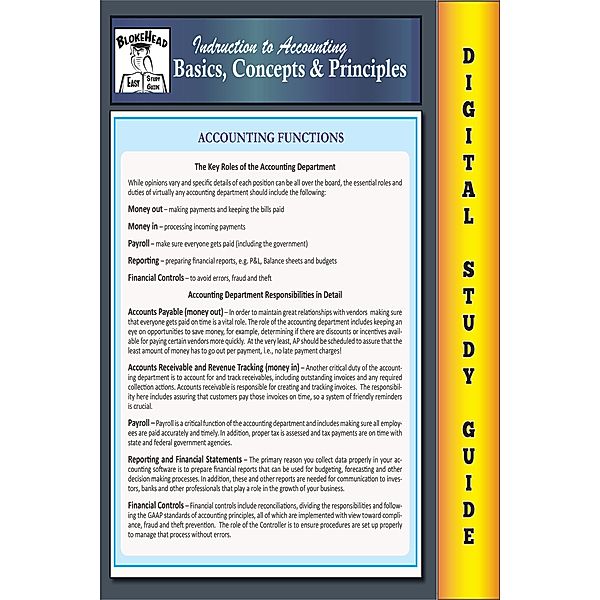 Accounting Basics, Concepts & Principles (Blokehead Easy Study Guide), Scott Green