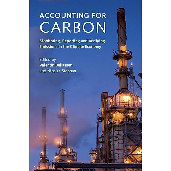 Accounting for Carbon