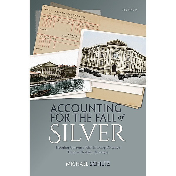 Accounting for the Fall of Silver, Michael Schiltz