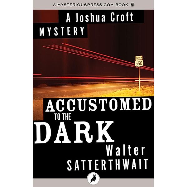 Accustomed to the Dark, Walter Satterthwait