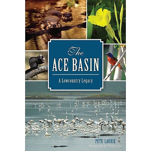 ACE Basin: A Lowcountry Legacy, Pete Laurie