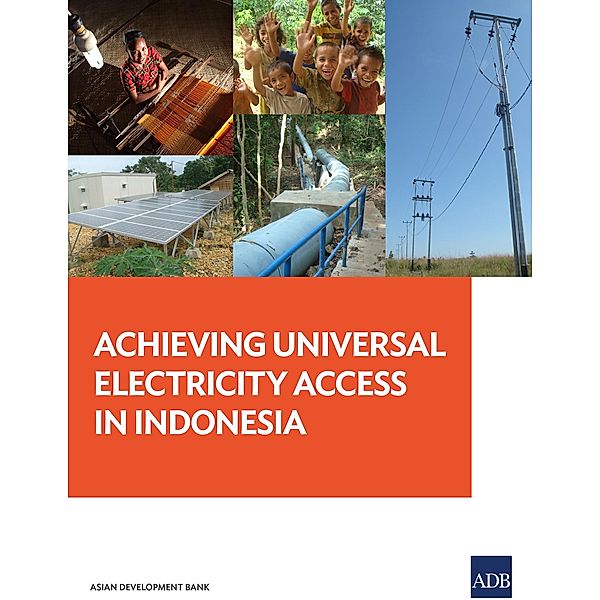 Achieving Universal Electricity Access in Indonesia