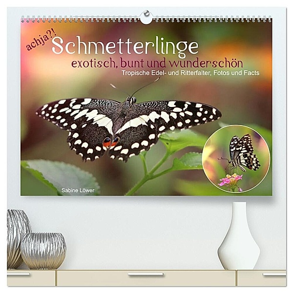 achja?! Schmetterlinge, exotisch, bunt und wunderschön (hochwertiger Premium Wandkalender 2024 DIN A2 quer), Kunstdruck in Hochglanz, Sabine Löwer