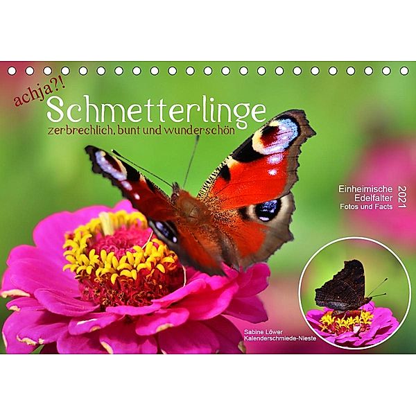 achja?! Schmetterlinge, zerbrechlich, bunt und wunderschön (Tischkalender 2021 DIN A5 quer), Sabine Löwer