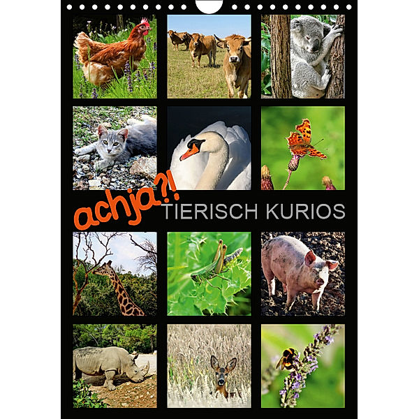 achja?! TIERISCH KURIOS (Wandkalender 2019 DIN A4 hoch), Sabine Löwer