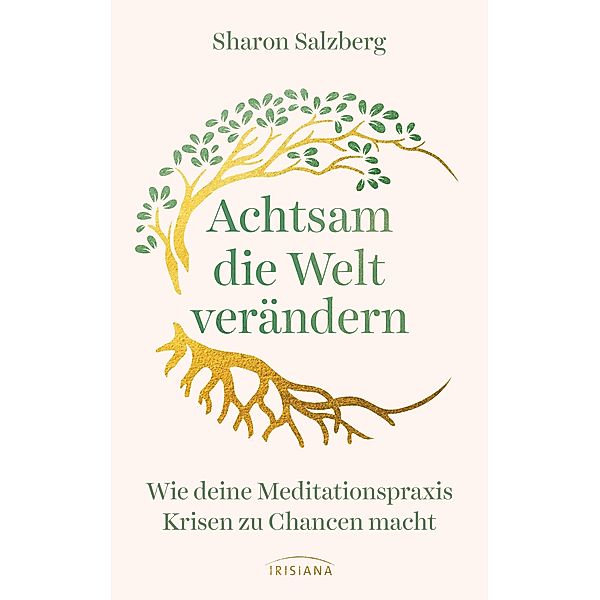 Achtsam die Welt verändern, Sharon Salzberg