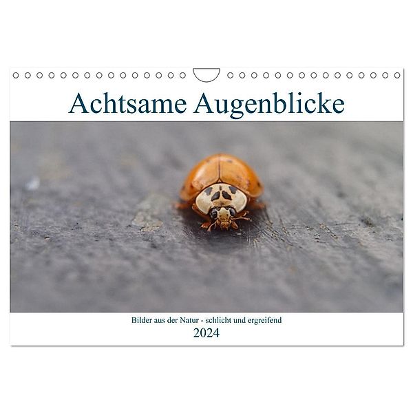 Achtsame Augenblicke (Wandkalender 2024 DIN A4 quer), CALVENDO Monatskalender, JoBe FotoART