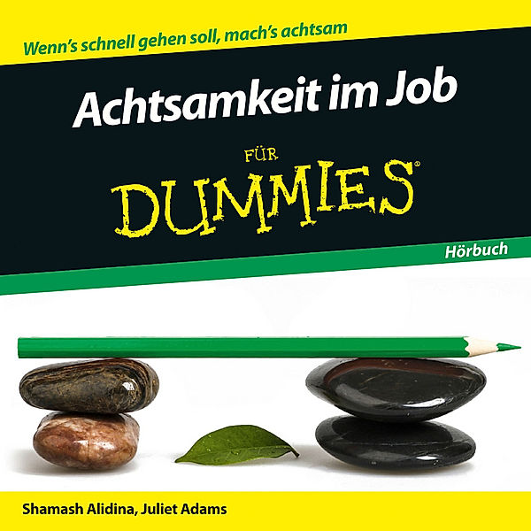 Achtsamkeit im Job für Dummies,Audio-CD, Shamash Alidina, Juliet Adams