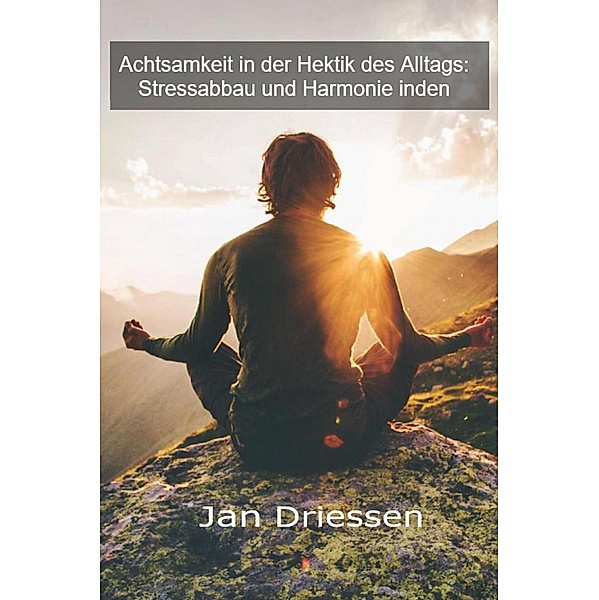 Achtsamkeit in der Hektik des Alltags: Stressabbau und Harmonie, Jan Driessen
