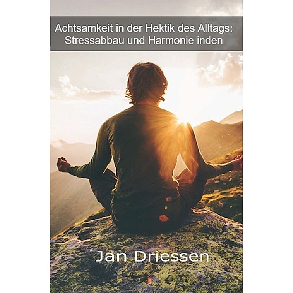 Achtsamkeit in der Hektik des Alltags: Stressabbau und Harmonie, Jan Driessen