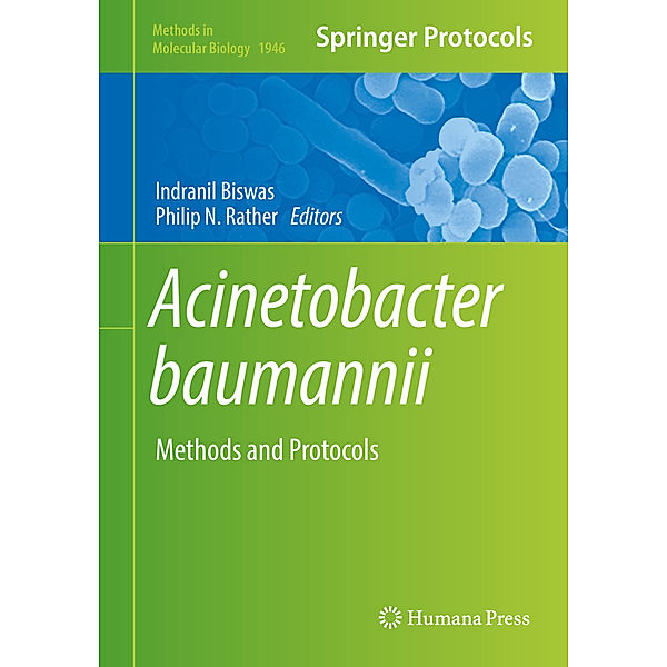 Acinetobacter baumannii