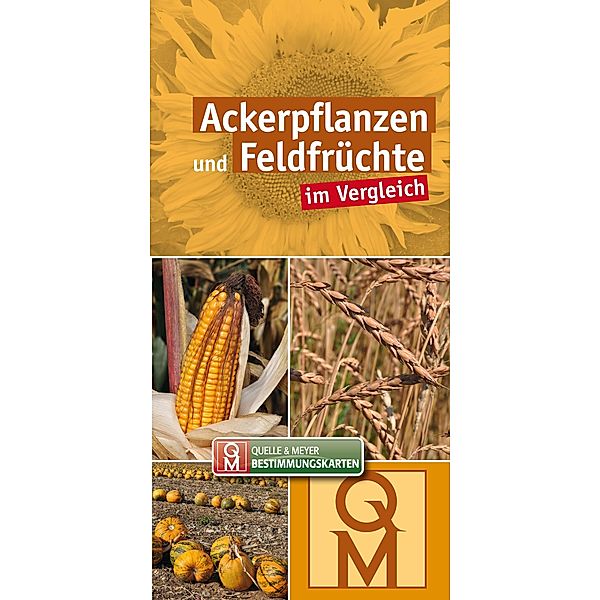 Ackerpflanzen und Feldfrüchte im Vergleich - 10er-Set