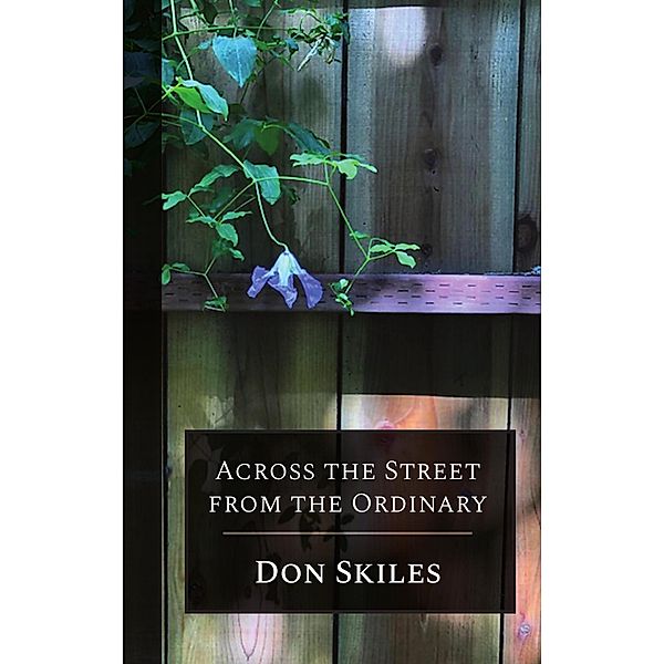 Across the Street From the Ordinary, Don Skiles
