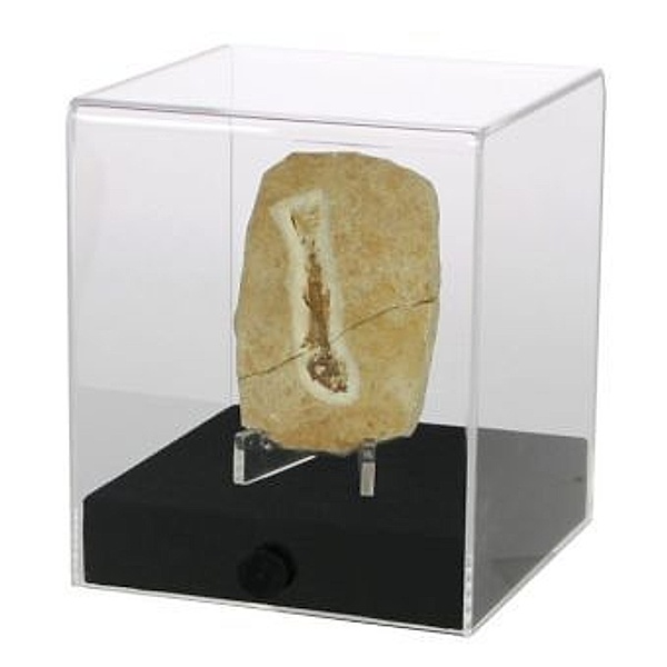 Acryl-Vitrine cube 12 x 12 x 14 cm