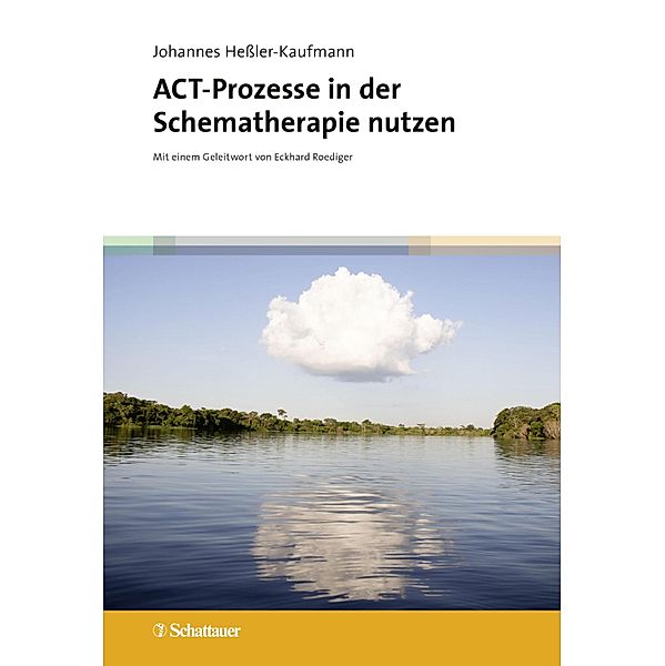ACT-Prozesse in der Schematherapie nutzen, Johannes Hessler-Kaufmann