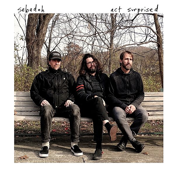 Act Surprised, Sebadoh