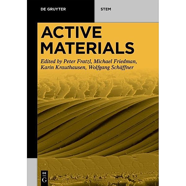 Active Materials / De Gruyter STEM