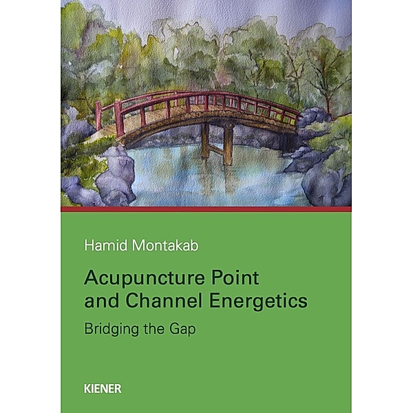 Acupuncture Point and Channel Energetics, Hamid Montakab