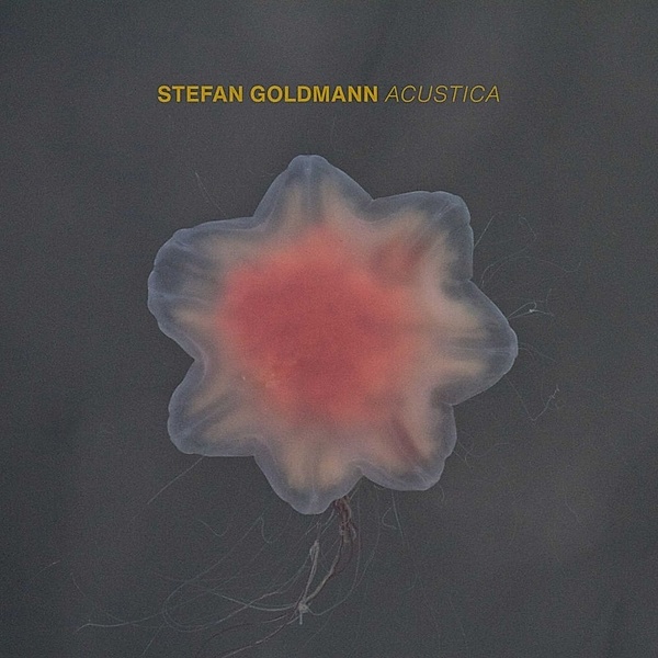 Acustica, Stefan Goldmann