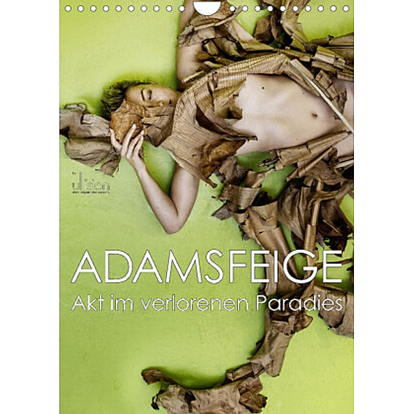 Adamsfeige - Akt im verlorenen Paradies (Wandkalender 2022 DIN A4 hoch), Ulrich Allgaier (ullision)