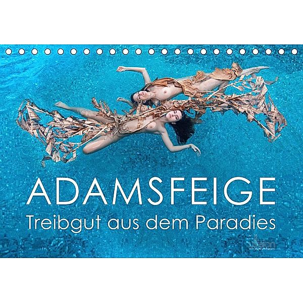 ADAMSFEIGE - Treibgut aus dem Paradies (Tischkalender 2020 DIN A5 quer), Ulrich Allgaier