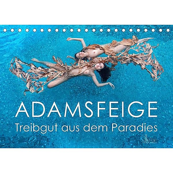 ADAMSFEIGE - Treibgut aus dem Paradies (Tischkalender 2023 DIN A5 quer), Ulrich Allgaier