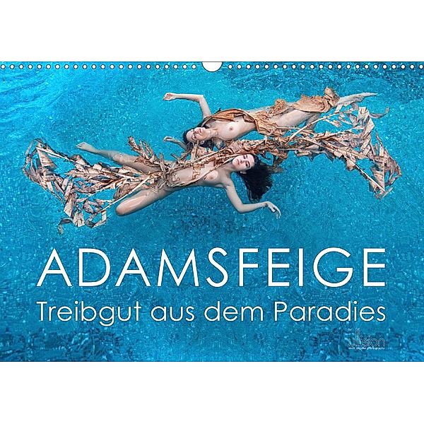 ADAMSFEIGE - Treibgut aus dem Paradies (Wandkalender 2020 DIN A3 quer), Ulrich Allgaier