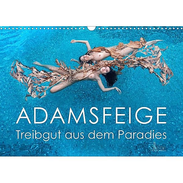 ADAMSFEIGE - Treibgut aus dem Paradies (Wandkalender 2023 DIN A3 quer), Ulrich Allgaier