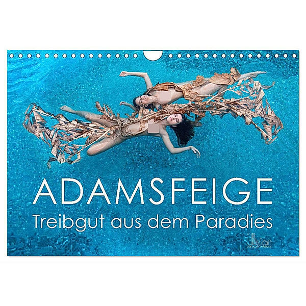 ADAMSFEIGE - Treibgut aus dem Paradies (Wandkalender 2025 DIN A4 quer), CALVENDO Monatskalender, Calvendo, Ulrich Allgaier