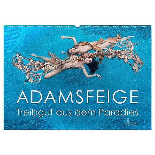 ADAMSFEIGE - Treibgut aus dem Paradies (Wandkalender 2025 DIN A2 quer), CALVENDO Monatskalender, Calvendo, Ulrich Allgaier