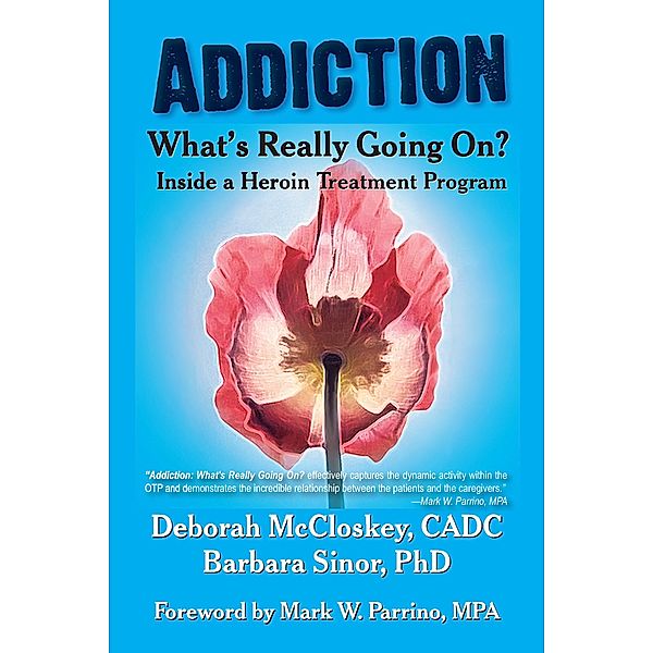 Addiction--What's Really Going on? / Reflections of America, Deborah Mccloskey, Barbara Sinor