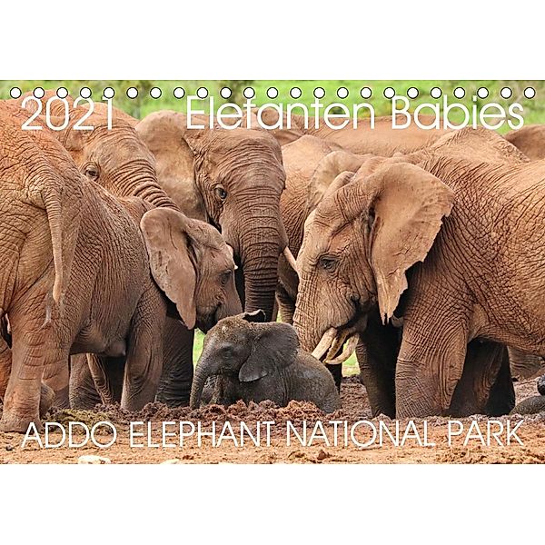 ADDO ELEPHANT NATIONAL PARK Elefanten Babies (Tischkalender 2021 DIN A5 quer), Barbara Fraatz