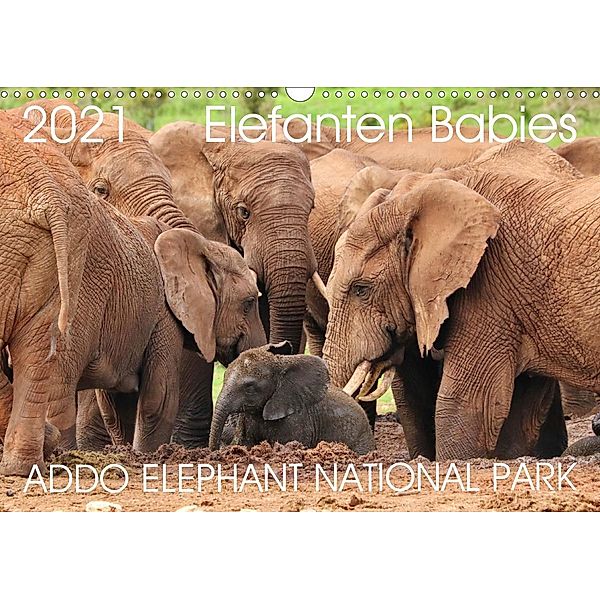 ADDO ELEPHANT NATIONAL PARK Elefanten Babies (Wandkalender 2021 DIN A3 quer), Barbara Fraatz