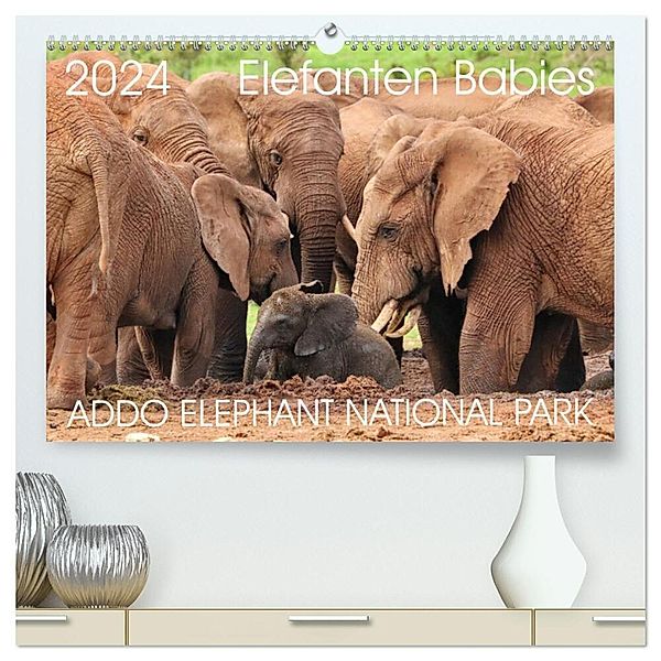 ADDO ELEPHANT NATIONAL PARK Elefanten Babies (hochwertiger Premium Wandkalender 2024 DIN A2 quer), Kunstdruck in Hochglanz, Barbara Fraatz