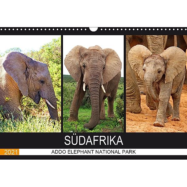 ADDO ELEPHANT NATIONAL PARK SÜDAFRIKA (Wandkalender 2021 DIN A3 quer), Barbara Fraatz