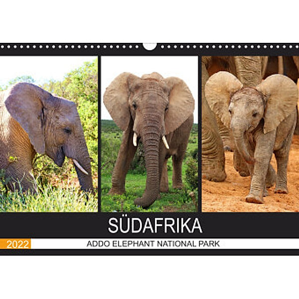 ADDO ELEPHANT NATIONAL PARK  SÜDAFRIKA (Wandkalender 2022 DIN A3 quer), Barbara Fraatz