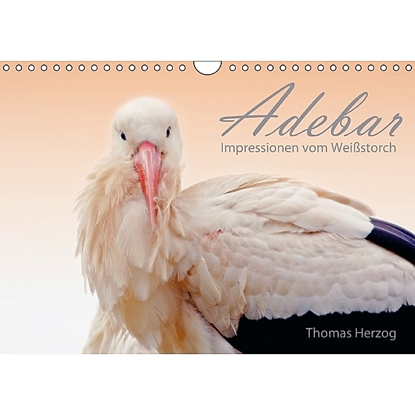 ADEBAR (Wandkalender 2014 DIN A4 quer), Thomas Herzog